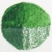 25 Meadow Green - Wax Wachs-Aquarell Farbstift